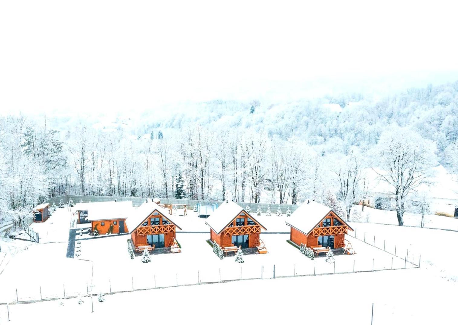 Sloneczne Domki Sudety - Domki Caloroczne Kotlina Klodzka Stary Waliszow Exterior foto