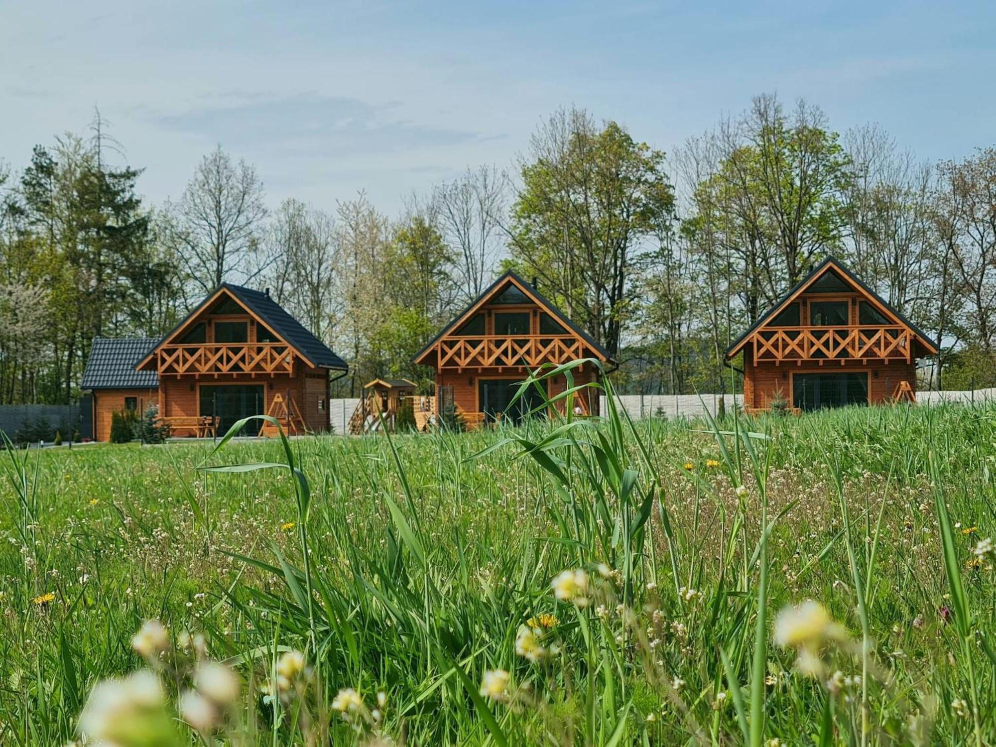 Sloneczne Domki Sudety - Domki Caloroczne Kotlina Klodzka Stary Waliszow Exterior foto