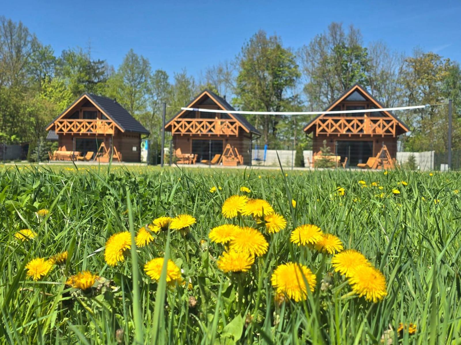 Sloneczne Domki Sudety - Domki Caloroczne Kotlina Klodzka Stary Waliszow Exterior foto